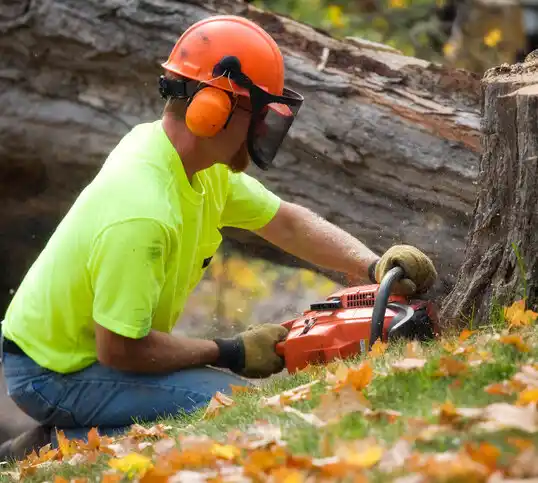 tree services Wentzville